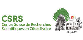 Plan de travail 1 copie 10